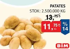 PATATES KG PATATES KG